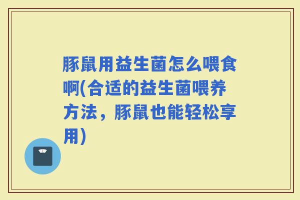 豚鼠用益生菌怎么喂食啊(合适的益生菌喂养方法，豚鼠也能轻松享用)