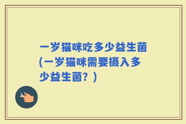 一岁猫咪吃多少益生菌(一岁猫咪需要摄入多少益生菌？)