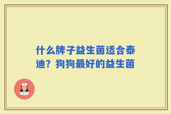 什么牌子益生菌适合泰迪？狗狗好的益生菌
