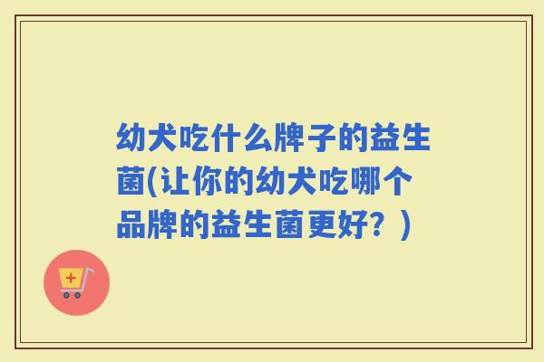 幼犬吃什么牌子的益生菌(让你的幼犬吃哪个品牌的益生菌更好？)