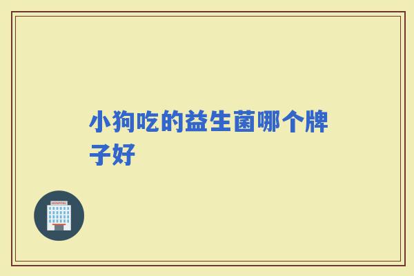 小狗吃的益生菌哪个牌子好