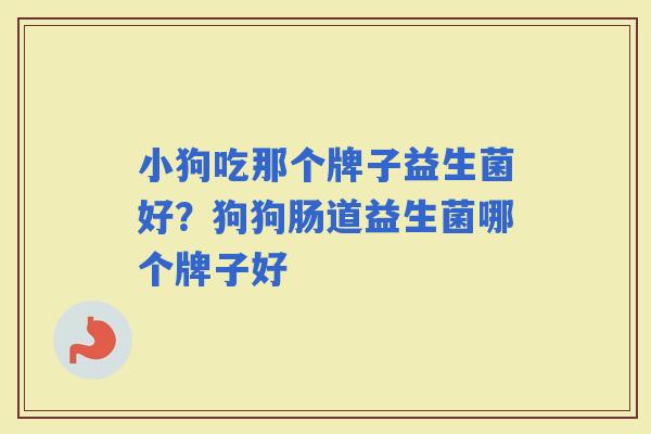 小狗吃那个牌子益生菌好？狗狗肠道益生菌哪个牌子好