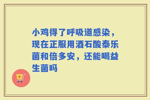 小鸡得了道，现在正服用酒石酸泰乐菌和倍多安，还能喝益生菌吗
