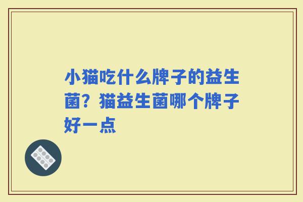 小猫吃什么牌子的益生菌？猫益生菌哪个牌子好一点