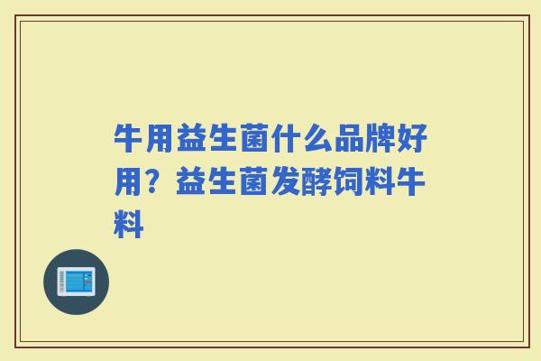 牛用益生菌什么品牌好用？益生菌发酵饲料牛料