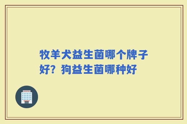 牧羊犬益生菌哪个牌子好？狗益生菌哪种好