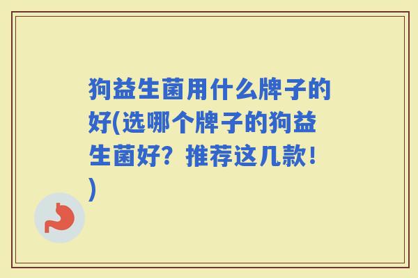 狗益生菌用什么牌子的好(选哪个牌子的狗益生菌好？推荐这几款！)
