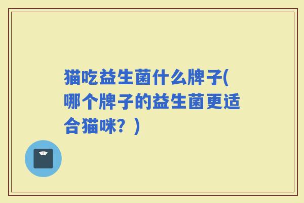 猫吃益生菌什么牌子(哪个牌子的益生菌更适合猫咪？)