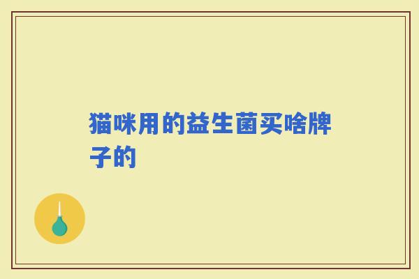 猫咪用的益生菌买啥牌子的