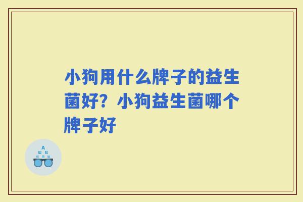 小狗用什么牌子的益生菌好？小狗益生菌哪个牌子好