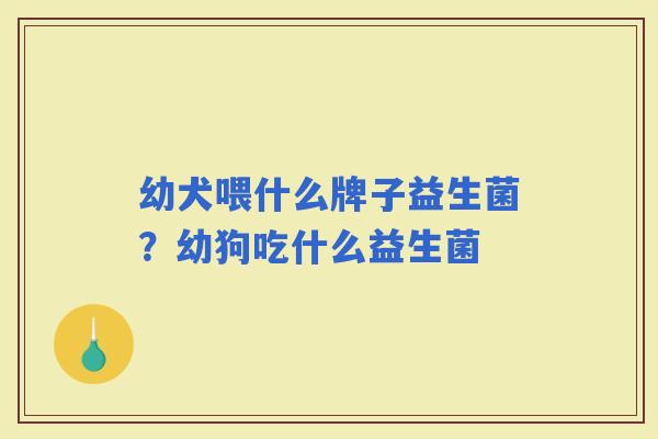 幼犬喂什么牌子益生菌?幼狗吃什么益生菌 幼犬喂什么牌子益生菌?幼狗吃什么益生菌