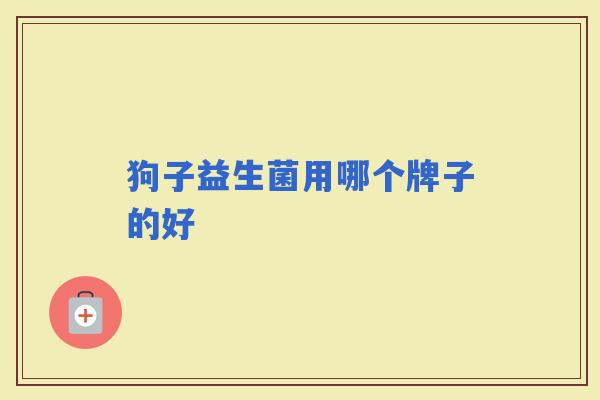 狗子益生菌用哪个牌子的好