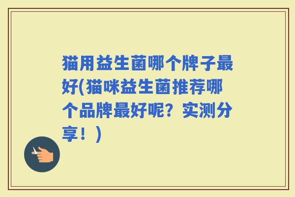 猫用益生菌哪个牌子好(猫咪益生菌推荐哪个品牌好呢？实测分享！)