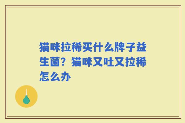 猫咪拉稀买什么牌子益生菌？猫咪又吐又拉稀怎么办