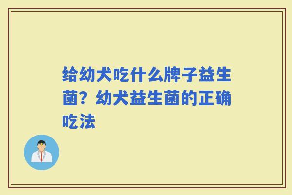 给幼犬吃什么牌子益生菌?幼犬益生菌的正确吃法 给幼犬吃什么牌子益生菌?幼犬益生菌的正确吃法