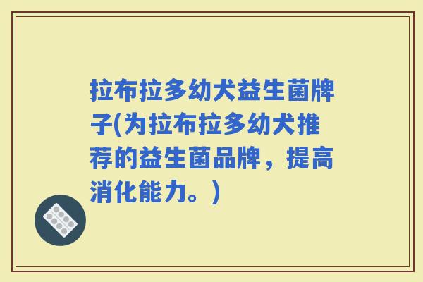 拉布拉多幼犬益生菌牌子(为拉布拉多幼犬推荐的益生菌品牌,提高消化能力。) 拉布拉多幼犬益生菌牌子(为拉布拉多幼犬推荐的益生菌品牌,提高消化能力。)