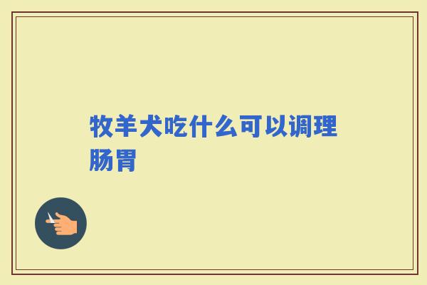 牧羊犬吃什么可以调理肠胃 牧羊犬吃什么可以调理肠胃