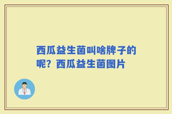 西瓜益生菌叫啥牌子的呢？西瓜益生菌图片