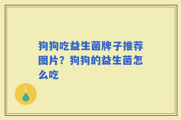 狗狗吃益生菌牌子推荐图片?狗狗的益生菌怎么吃 狗狗吃益生菌牌子推荐图片?狗狗的益生菌怎么吃