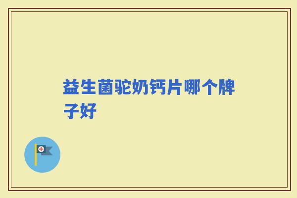 益生菌驼奶钙片哪个牌子好