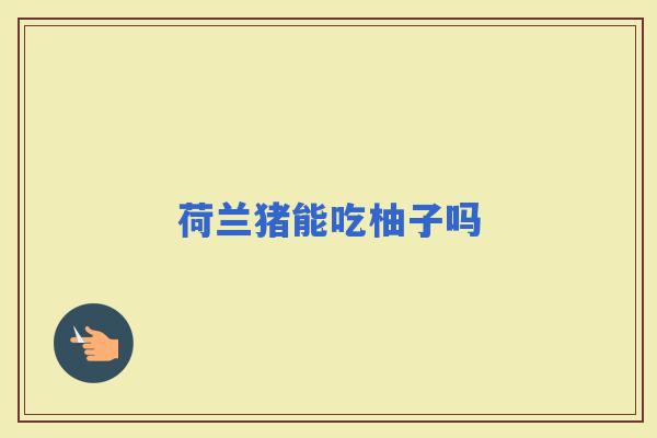 荷兰猪能吃柚子吗