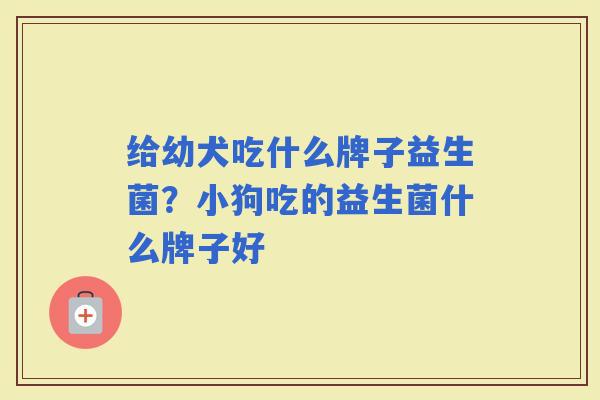 给幼犬吃什么牌子益生菌？小狗吃的益生菌什么牌子好
