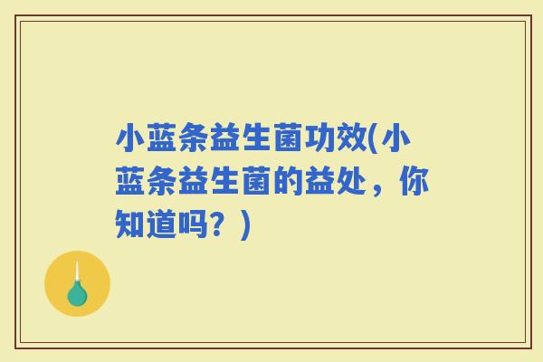 小蓝条益生菌功效(小蓝条益生菌的益处,你知道吗?) 小蓝条益生菌功效(小蓝条益生菌的益处,你知道吗?)