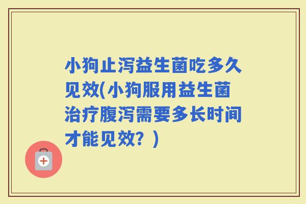 小狗止泻益生菌吃多久见效(小狗服用益生菌需要多长时间才能见效？)