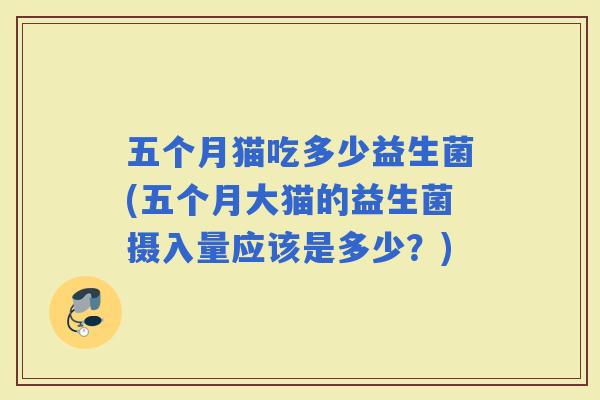 五个月猫吃多少益生菌(五个月大猫的益生菌摄入量应该是多少？)