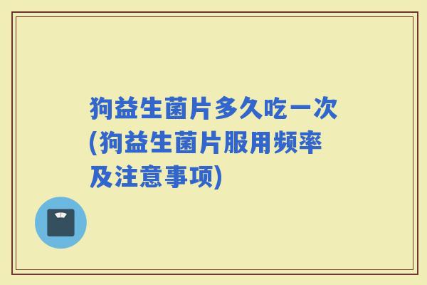 狗益生菌片多久吃一次(狗益生菌片服用频率及注意事项)