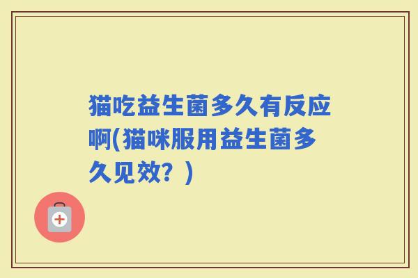 猫吃益生菌多久有反应啊(猫咪服用益生菌多久见效？)