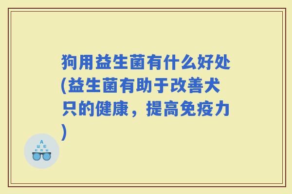 狗用益生菌有什么好处(益生菌有助于改善犬只的健康，提高力)