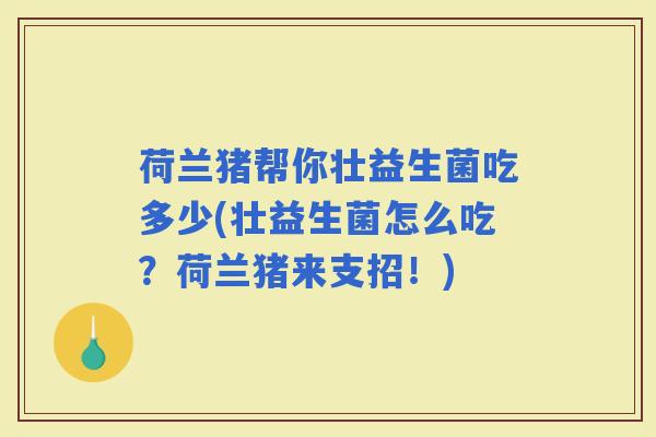 荷兰猪帮你壮益生菌吃多少(壮益生菌怎么吃？荷兰猪来支招！)