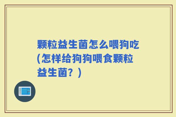 颗粒益生菌怎么喂狗吃(怎样给狗狗喂食颗粒益生菌？)