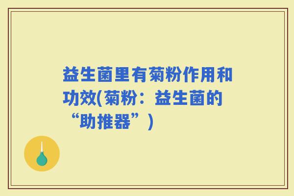 益生菌里有菊粉作用和功效(菊粉：益生菌的“助推器”)