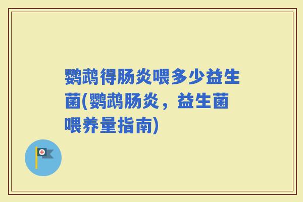 鹦鹉得肠炎喂多少益生菌(鹦鹉肠炎，益生菌喂养量指南)