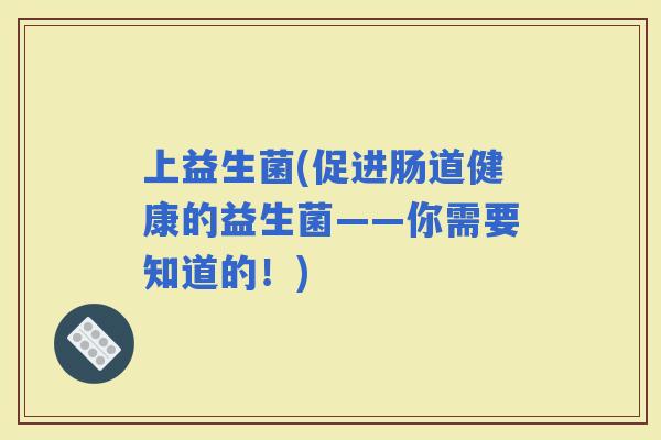 上益生菌(促进肠道健康的益生菌——你需要知道的！)
