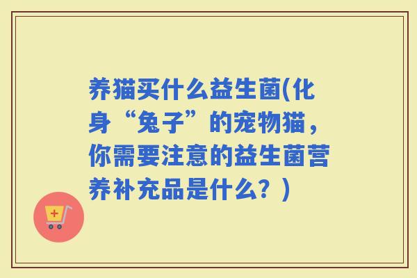 养猫买什么益生菌(化身“兔子”的宠物猫，你需要注意的益生菌营养补充品是什么？)