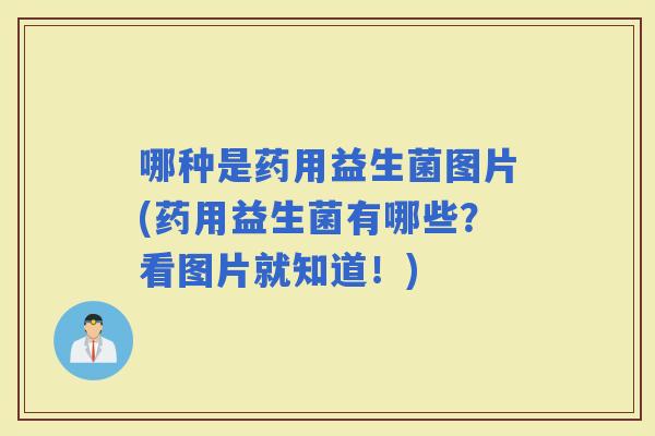 哪种是药用益生菌图片(药用益生菌有哪些？看图片就知道！)