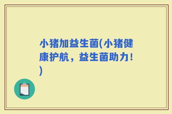 小猪加益生菌(小猪健康护航，益生菌助力！)