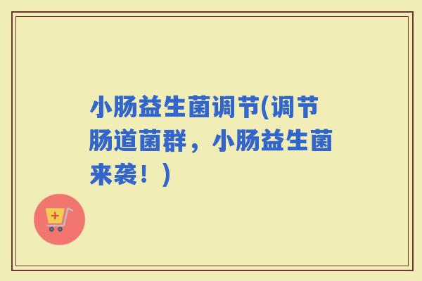 小肠益生菌调节(调节肠道菌群，小肠益生菌来袭！)