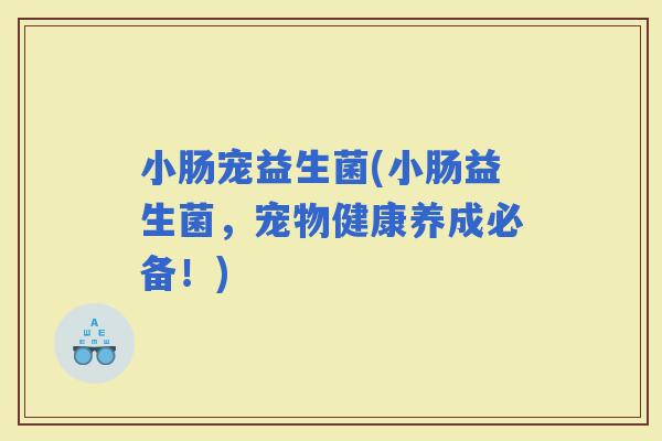 小肠宠益生菌(小肠益生菌，宠物健康养成必备！)