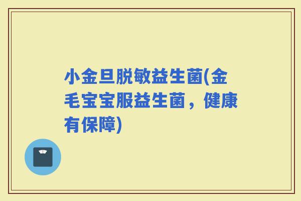 小金旦脱敏益生菌(金毛宝宝服益生菌，健康有保障)