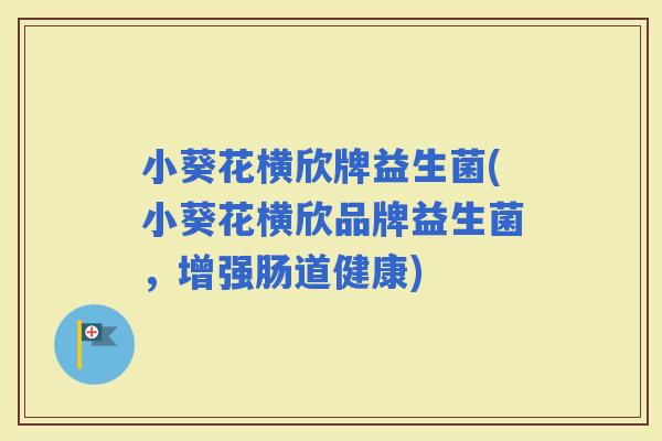 小葵花横欣牌益生菌(小葵花横欣品牌益生菌，增强肠道健康)