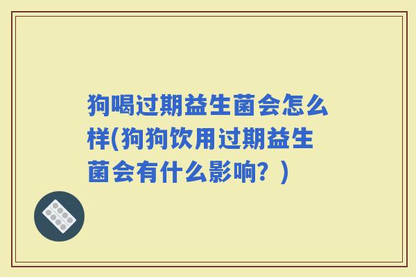 狗喝过期益生菌会怎么样(狗狗饮用过期益生菌会有什么影响？)