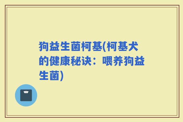 狗益生菌柯基(柯基犬的健康秘诀：喂养狗益生菌)