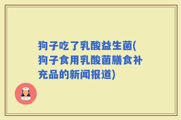 狗子吃了乳酸益生菌(狗子食用乳酸菌膳食补充品的新闻报道)