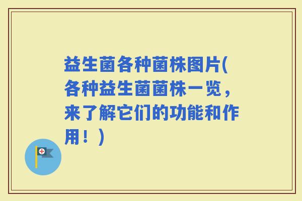 益生菌各种菌株图片(各种益生菌菌株一览，来了解它们的功能和作用！)