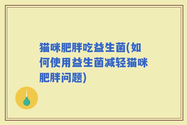 猫咪吃益生菌(如何使用益生菌减轻猫咪问题)