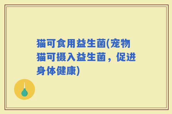猫可食用益生菌(宠物猫可摄入益生菌，促进身体健康)
